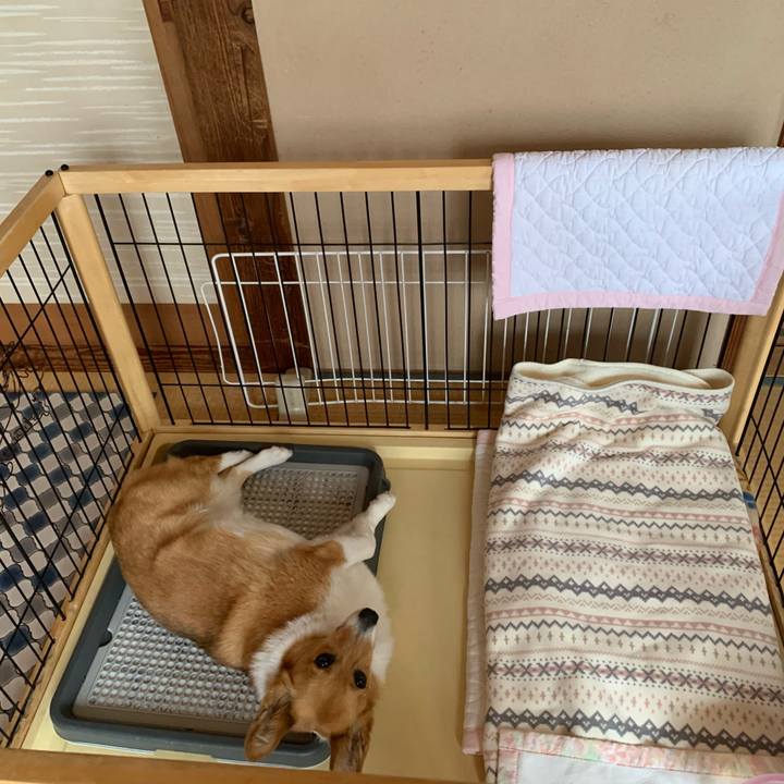 Ff6a2824 b5a4 4f67 9446 255320e99058 1621641737978