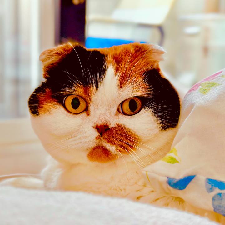 Ff6a28db eba4 477c ae98 0d61319427b1 1701728692413