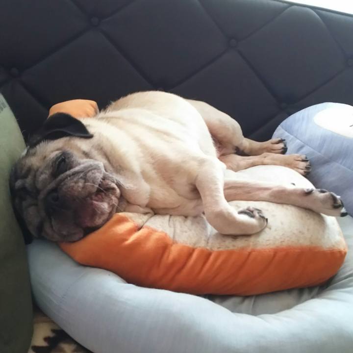 Ff6a753c dae7 40a4 a7c2 9e2f3b0195d7 1533306875595