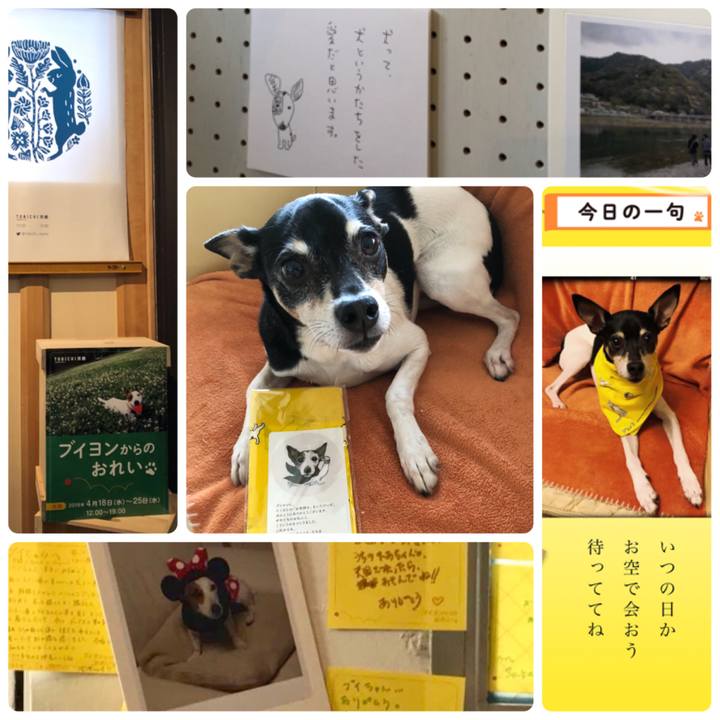 Ff6a7865 4d45 4bf0 9acb 0afc1da79d44 1524610196137