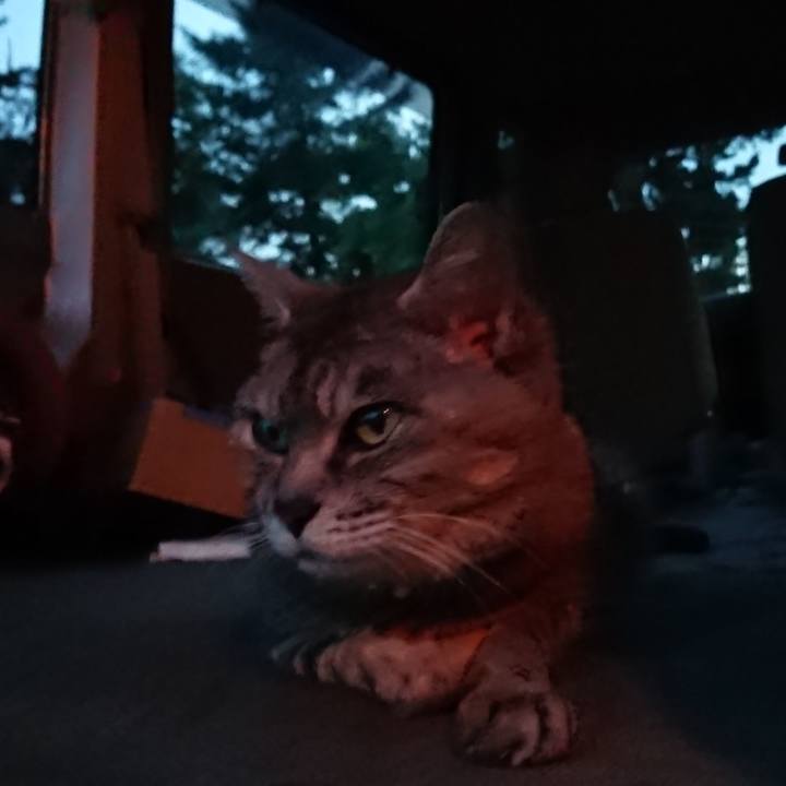 Ff6b0fed f3af 4644 8151 a0f5a8d2b355 1564050508455