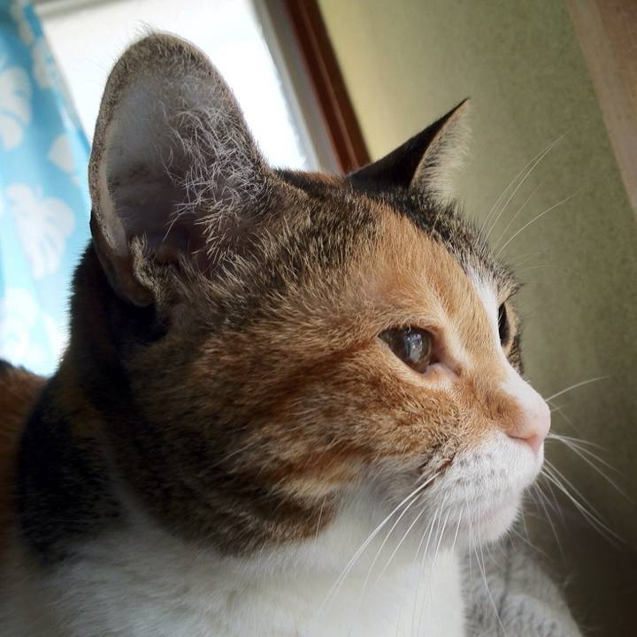 Ff6b1d13 683b 4c2a 89ca e6f2bc520fd2 1699065937602