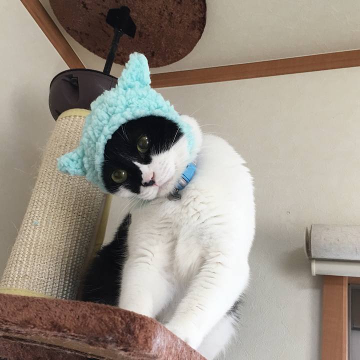 Ff6b2d10 6443 4d79 a3fc e431513ebd10 1514101382381