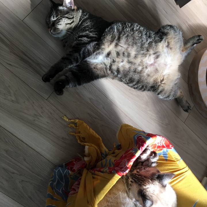 Ff6b5732 535f 47d4 883a e708c4123bb4 1590565583426