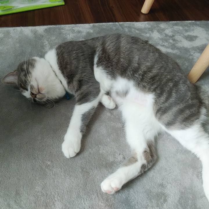 Ff6b6620 fc44 4767 b6a3 aa4026c355c9 1588981602631