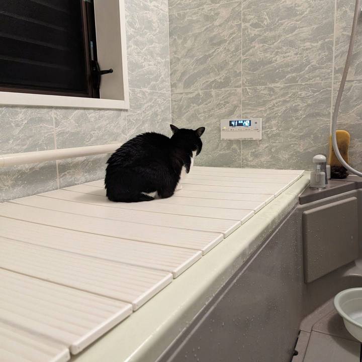 Ff6befa6 4dad 40f9 86c3 83be0a55f777 1703144782620