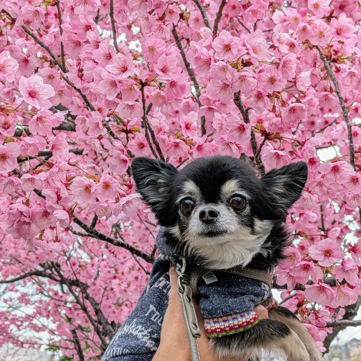 Ff6c1d7d d7cf 40b6 9e21 2470a00018a0 1773989068810