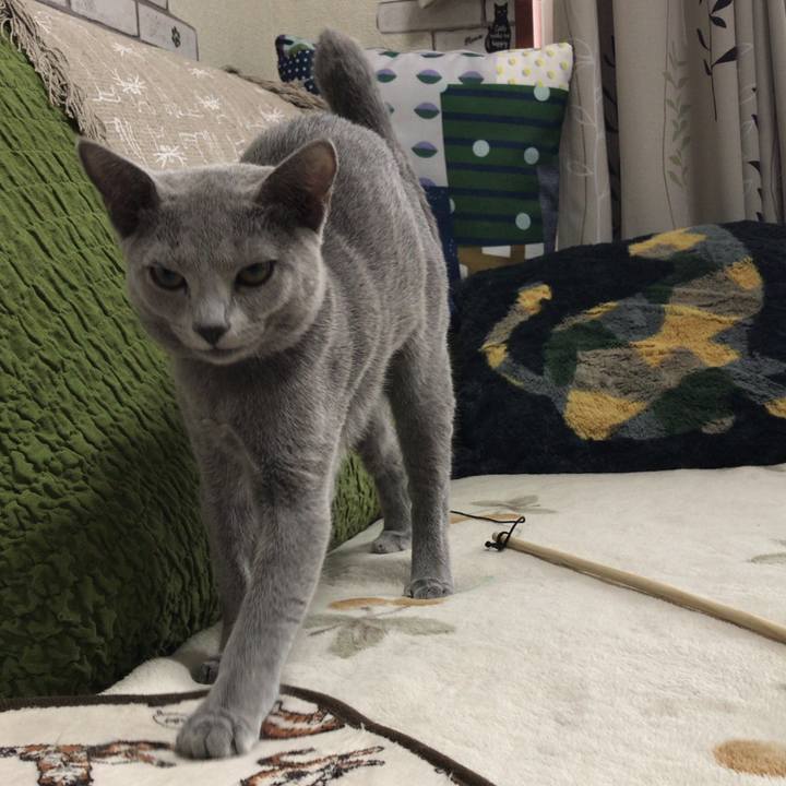 Ff6c5aa2 2195 40f8 84f2 6f121c547ea6 1510656605227