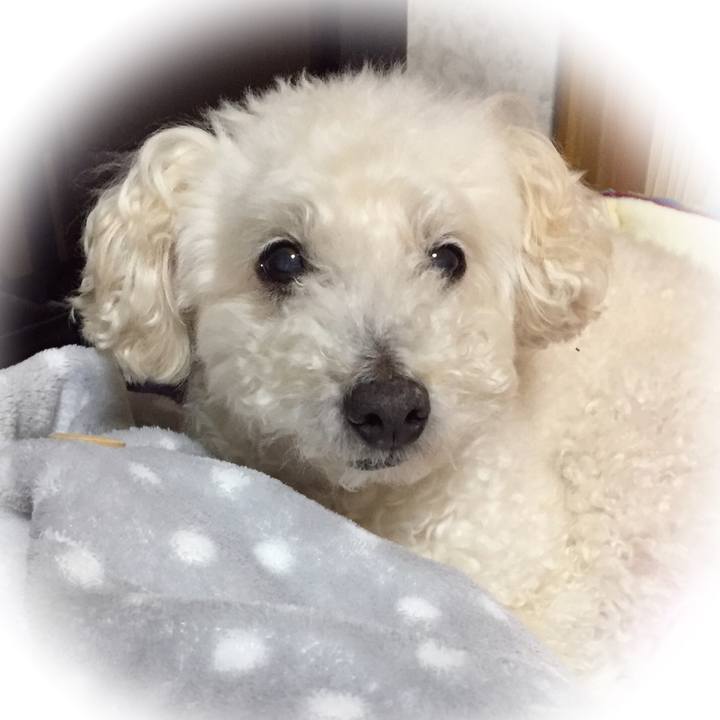 Ff6c7892 007a 4809 919c c7b5edc5b0ba 1518046578744