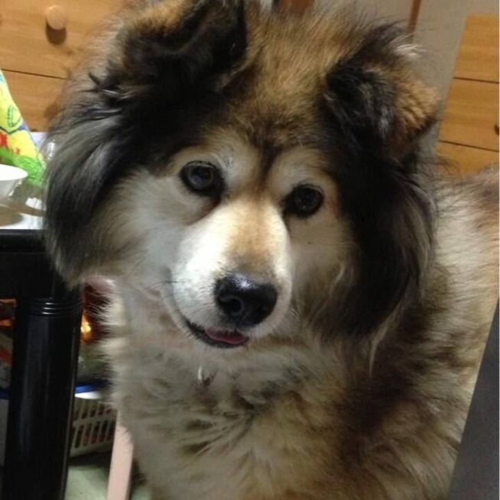 Ff6c791a 050e 417b 8358 92fbdefd0188 1579416971698