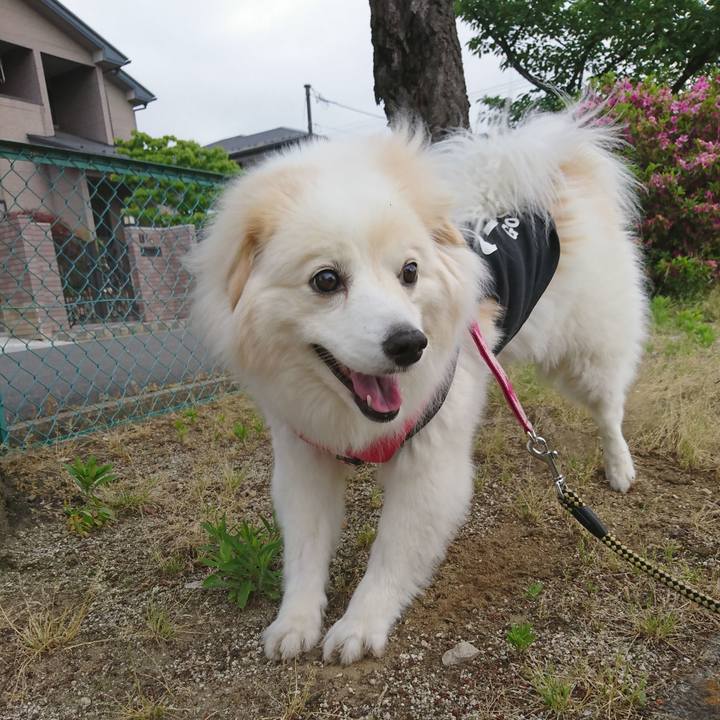 Ff6c8ce8 1398 4b07 a6e4 5f3bdc158479 1527369554674