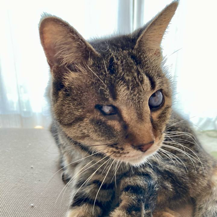 Ff6c9a3f c7d9 417b b9a3 d2357299de45 1649212852821