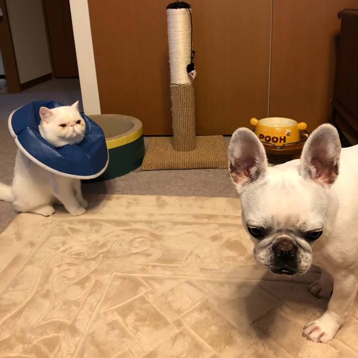 Ff6c9b0e 3346 4096 bb56 051ee1c00577 1560578298537