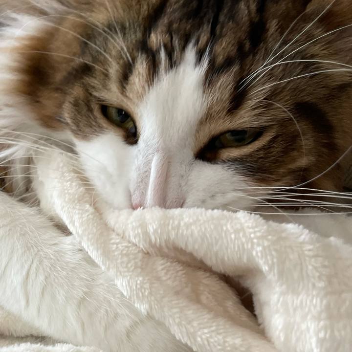 Ff6cbe72 db8e 4f5c bebc 5aa26b22c094 1654378411163