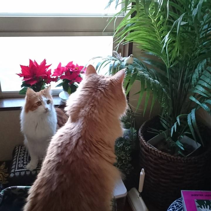 Ff6d3816 4085 4256 a6d5 aaf06eedaf74 1512186714522