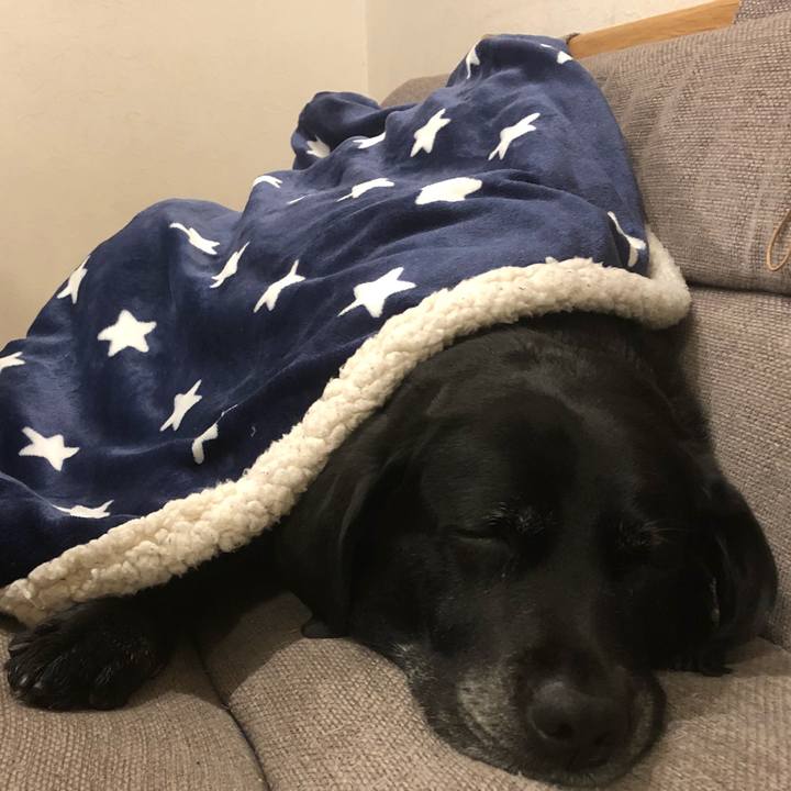 Ff6d74a1 b9cd 4039 a899 81d2bb91b9d9 1540994676761