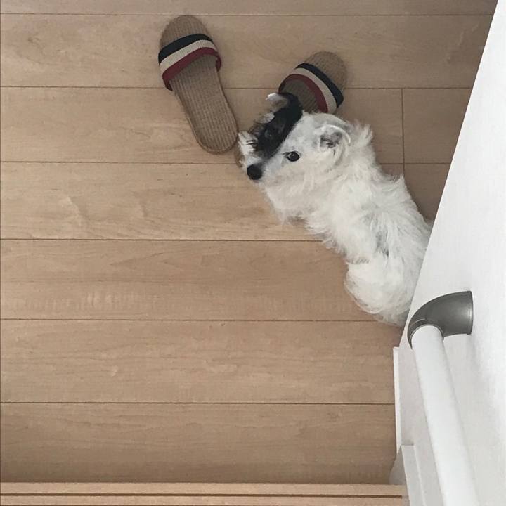 Ff6daad2 58d2 4d1a 8490 e58ac4d22b1a 1527291610802