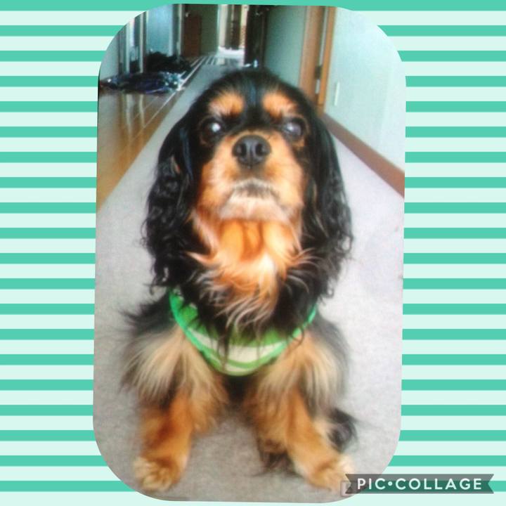 Ff6de9bc 27ab 4b91 8aa4 53ad86a4a145 1540363570525