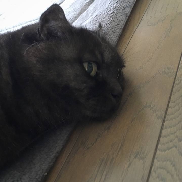 Ff6dee52 fbe8 4a4e 8b78 e3f4190677e5 1562972275908