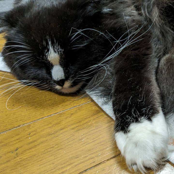 Ff6df131 9665 4142 a113 d2ddaf066f09 1710209123205