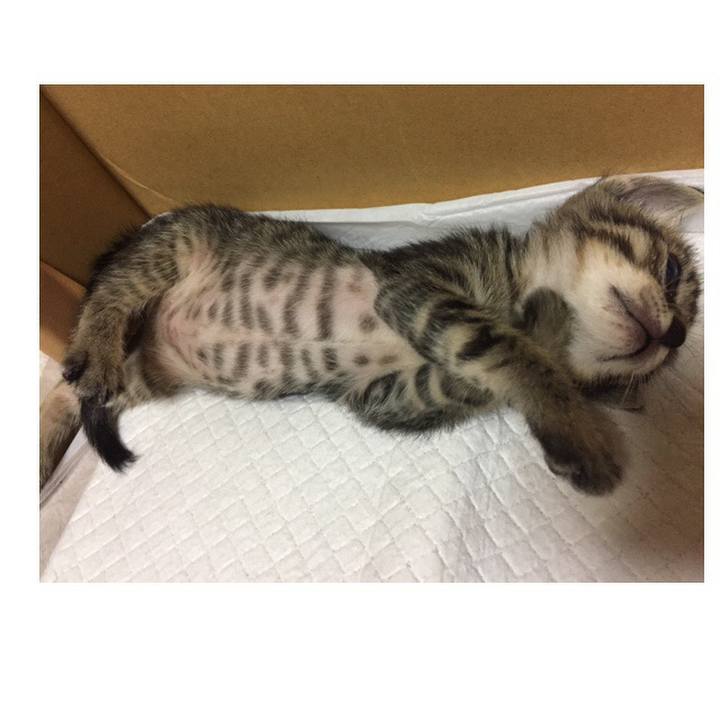 Ff6e0764 7bd2 4359 8b84 a0beec5004bc 1532910978029