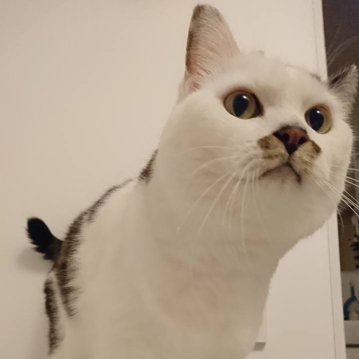 Ff6e50f0 b390 4c1c 9935 3f04b7f6f927 1571648072085