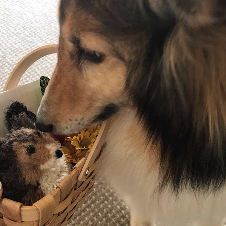 Ff6e7d4f d050 4fb7 9245 e3e4e44b577e 1578215487169