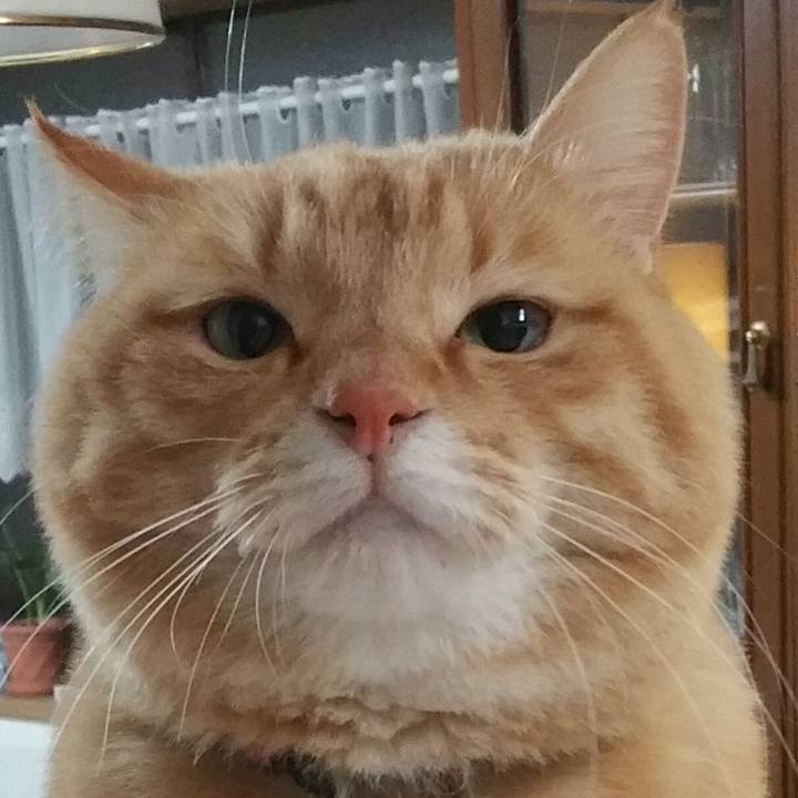 Ff6e802e a04b 4136 b009 b1635152f642 1552129731569