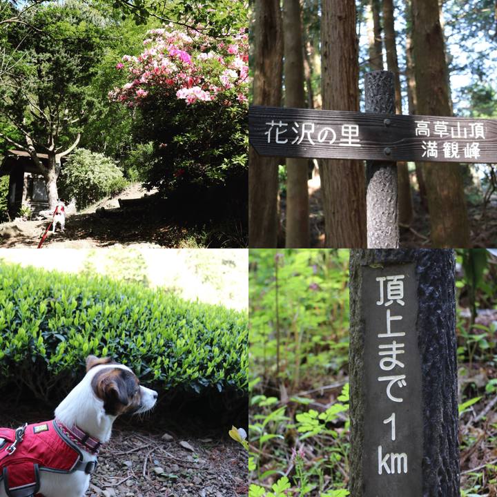 Ff6eb5b4 804c 4f76 8001 03515237a591 1524296246550