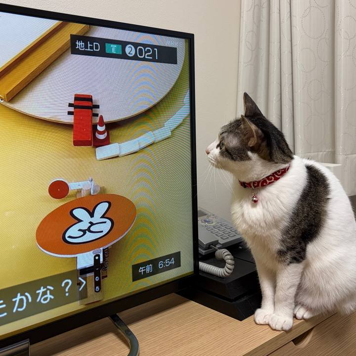 Ff6ec709 909f 42f2 8753 bd4846187563 1772581770100