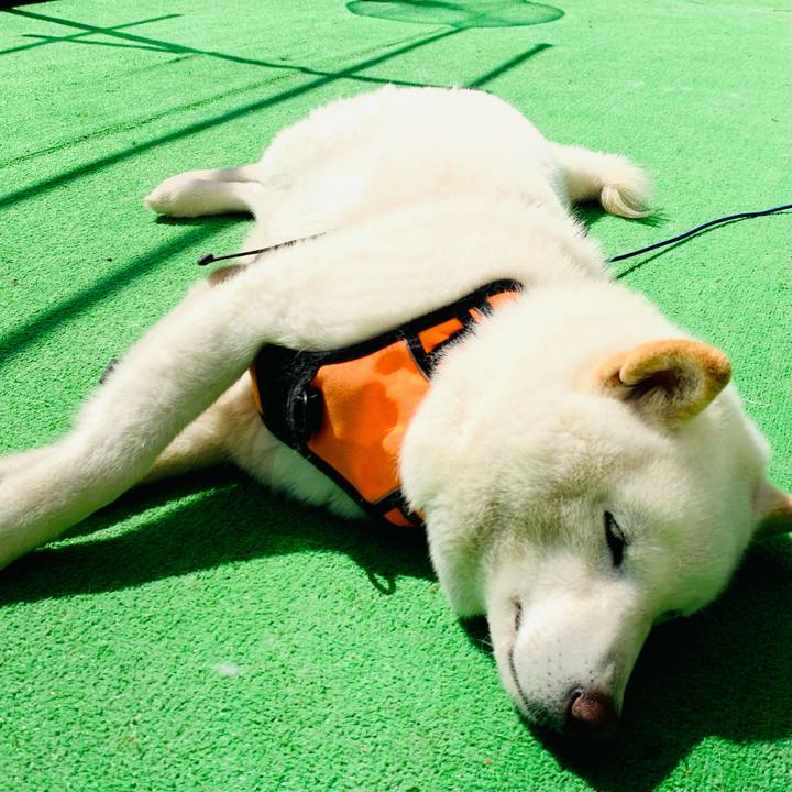 Ff6ec89c f614 42bc 912a 575240a6b246 1650515386582