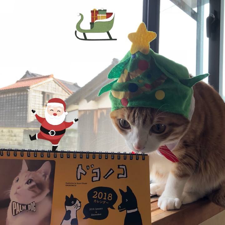 Ff6ecfe5 87d0 4f29 951c a7fbc3d8483b 1514081471539