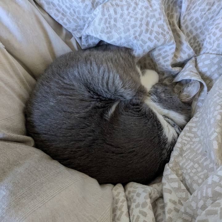 Ff6f4f82 fc18 4cd3 926e b6560acda81b 1763774696292