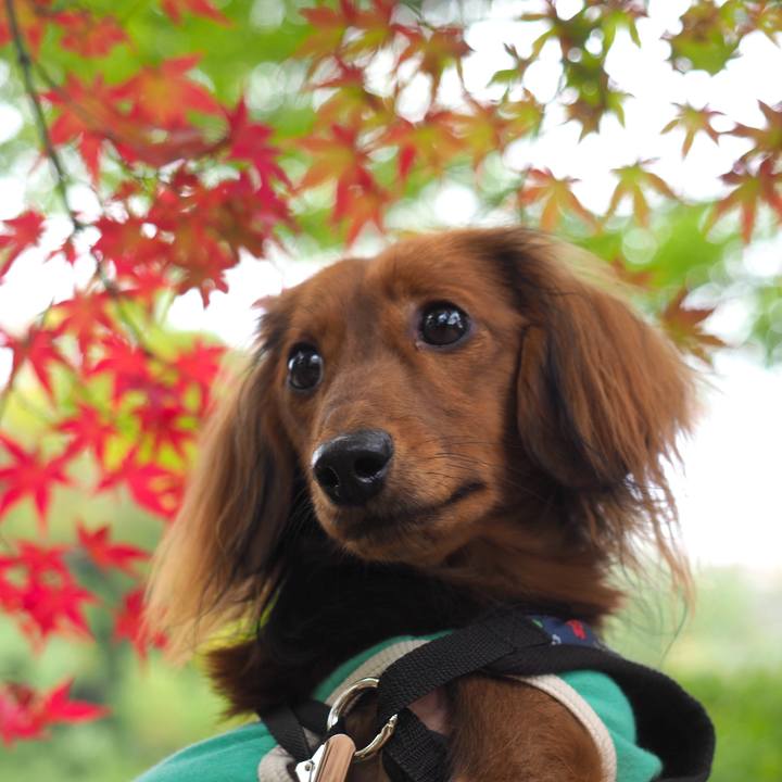 Ff6f563c afbb 43e6 9dfd 08964f920fce 1731561379782