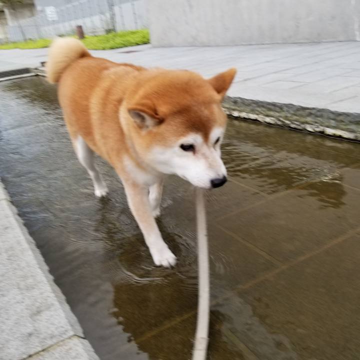 Ff6f9317 ceeb 4e8c bea0 b160f9d0082a 1567498436692