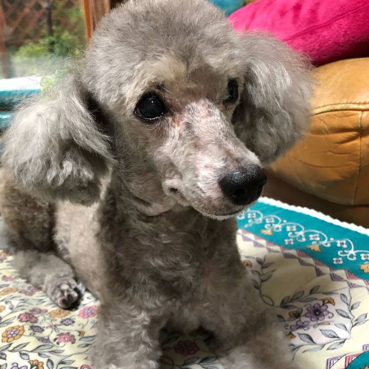 Ff6f9b38 1ba4 4d93 88f3 ab4cd4eba635 1568023945656