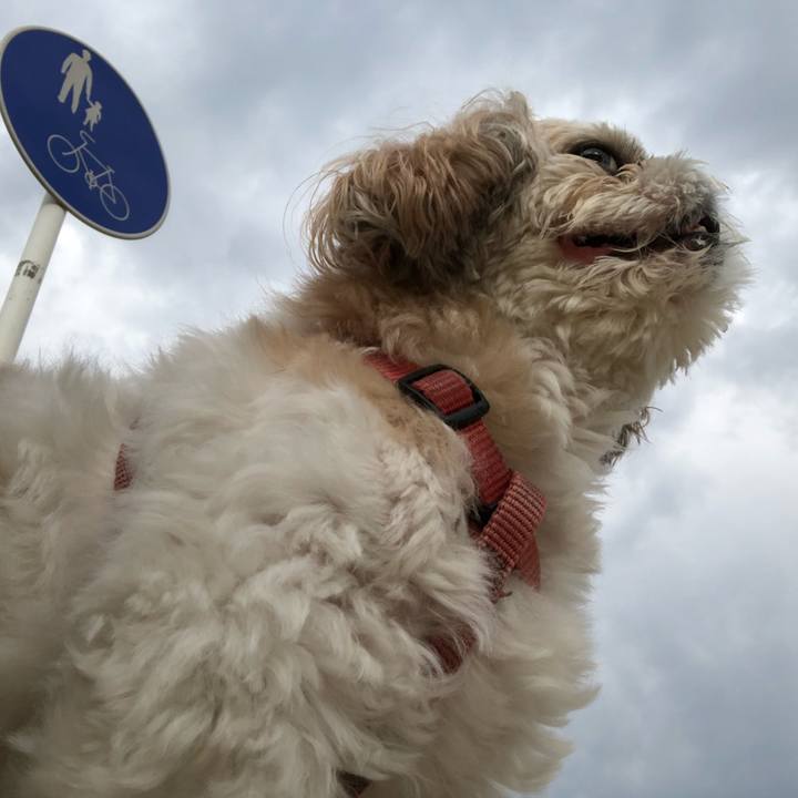 Ff6faa41 01ea 4346 8671 a61ffd2a2680 1535781731448