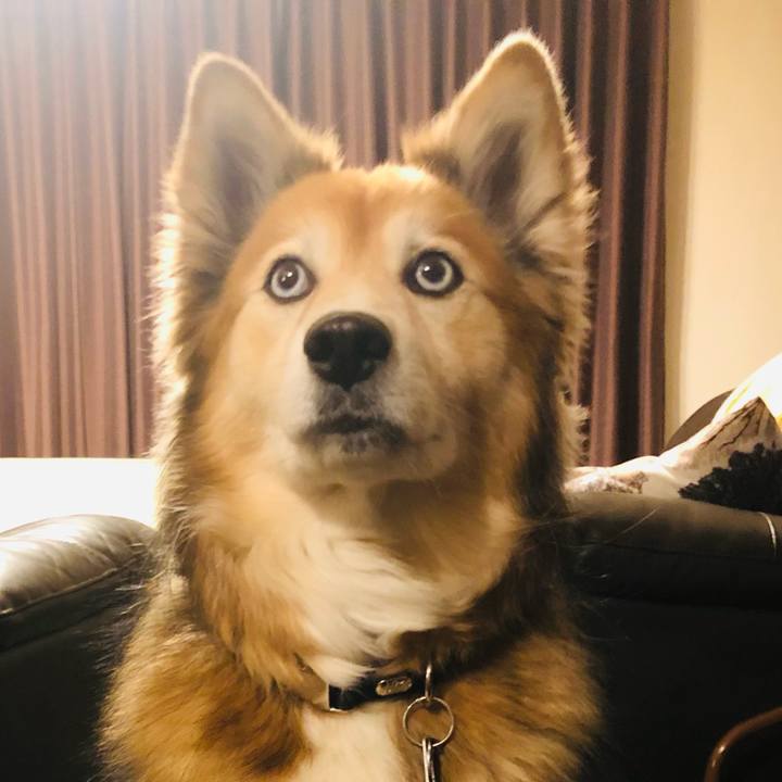 Ff6fb548 2100 412d 8adf 295f560cd5d0 1610958601590