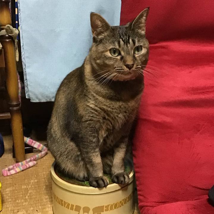 Ff6fd48d 4e79 404b a498 4e60b2dc5d98 1731668043147