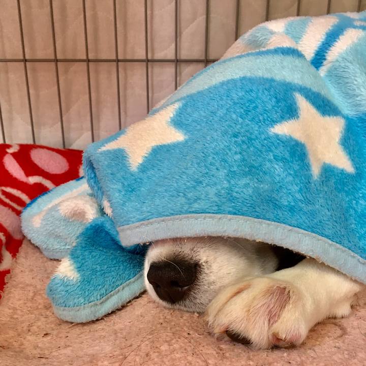 Ff70551a 0a14 4058 881a 948281280592 1548477544967