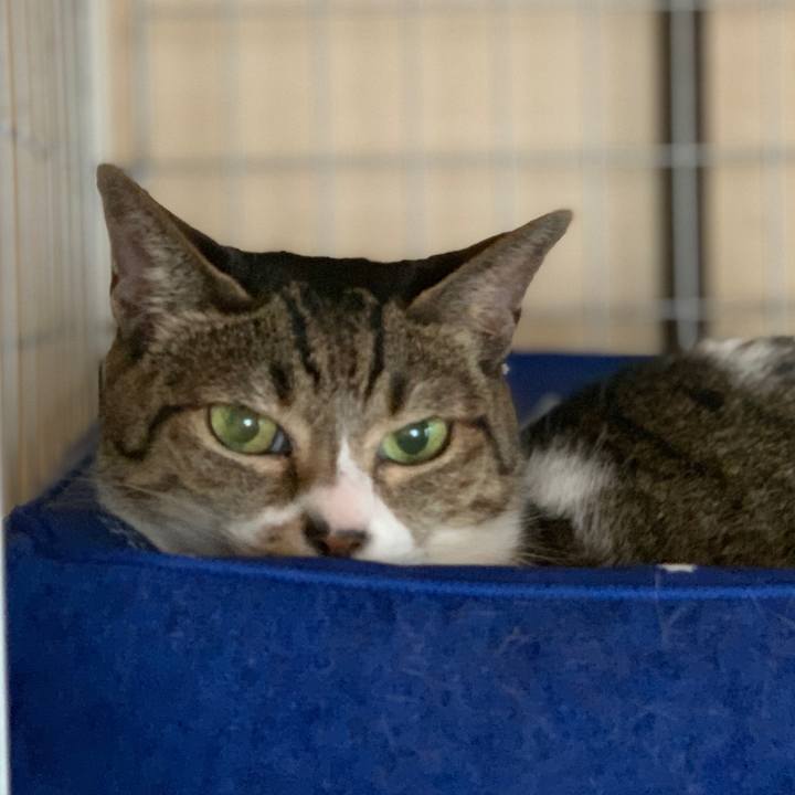 Ff705940 b327 4e01 a6d4 81520e5f0eda 1569545162663