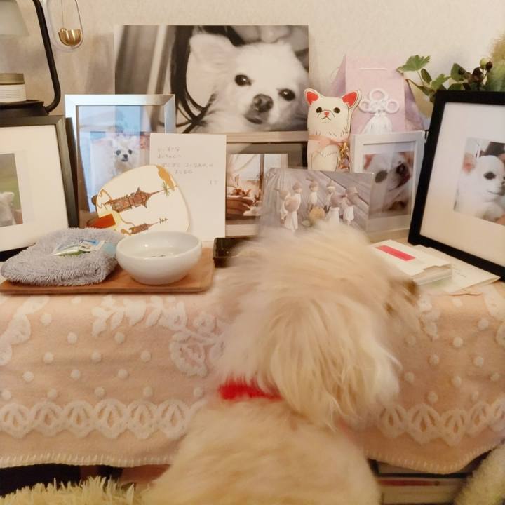 Ff7083f7 f5b0 49d8 8025 738b35dd4318 1689803912960