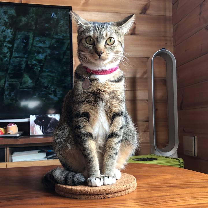 Ff709359 f341 4fb2 9380 fc6aa7f13244 1612442537557