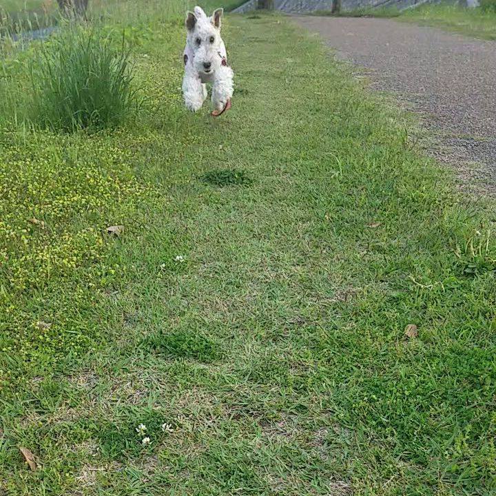 Ff70c9ec 4ce2 44e1 9b73 491c4b385e03 1556930152360