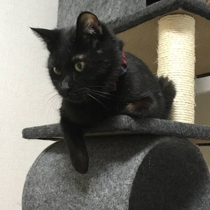 Ff70de63 bc14 4a23 9076 d5ec328afad9 1534421620234