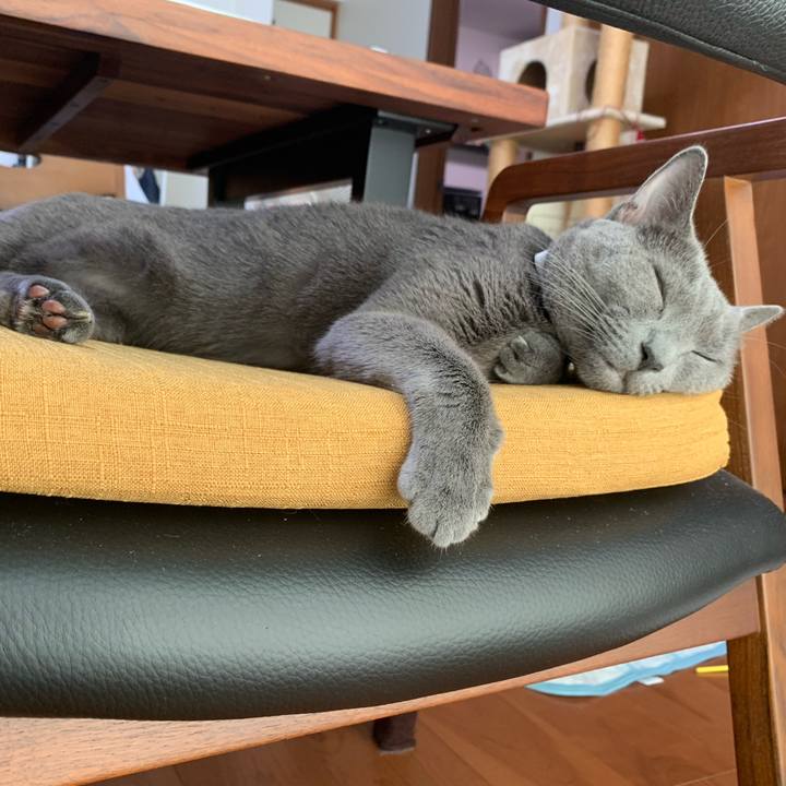 Ff70fe8b 353f 4f48 9410 87fa04086c26 1662264623153