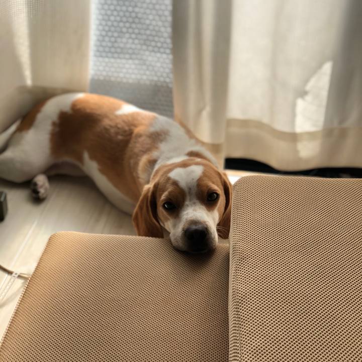 Ff71006f 9ef0 45d5 9a9f a911e015c112 1615181709718