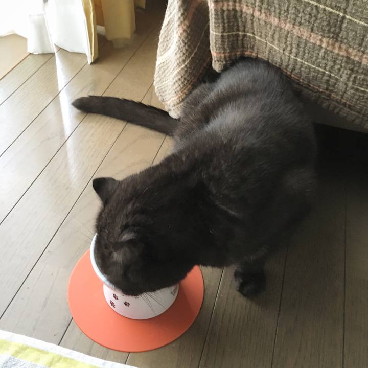 Ff7152be c32f 422f a58b 14ad842a4457 1566282270679