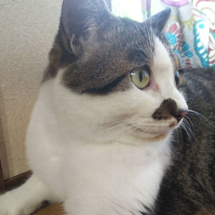 Ff7158cc 16a5 424b 9d37 343e0208574a 1658653109244