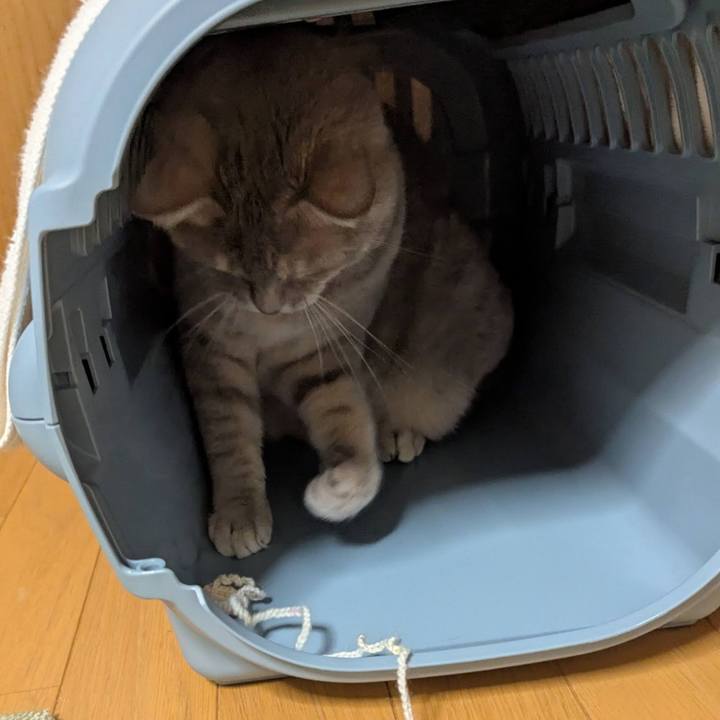 Ff715f76 e00f 41bf a7ff b2ec415a0c8d 1762242212913